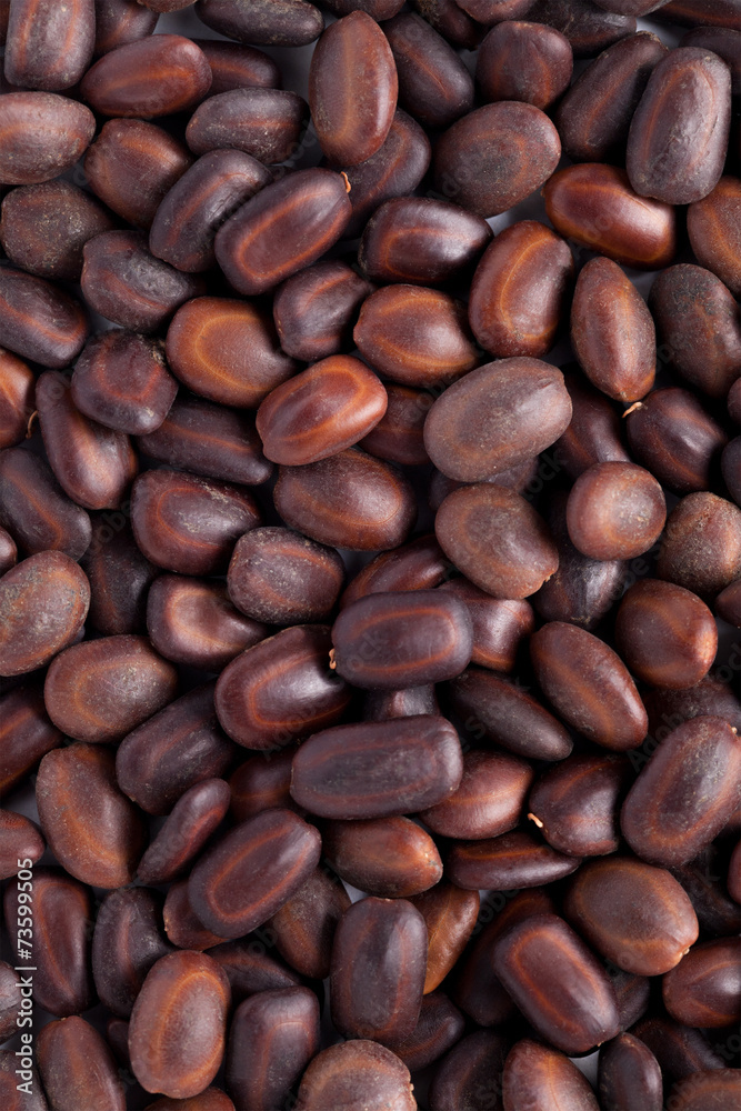 Samanea saman rain tree seeds (vilaiti siris) Samanea saman rain tree seeds (vilaiti siris)