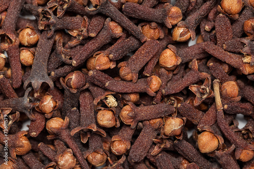 Red brown seed clove(loong india) Syzygium aromaticum