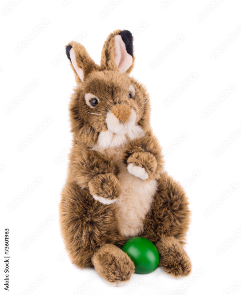 Obraz premium rabbit toy isolated