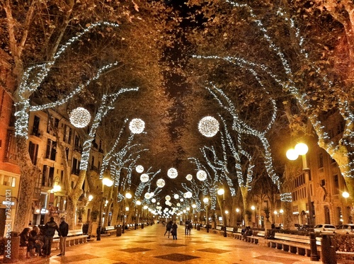 Palma zur Weihnachtszeit