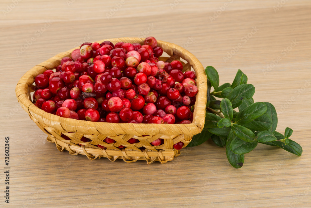 Cowberry Cowberry