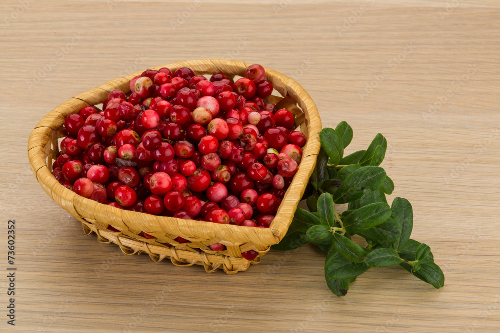 Cowberry Cowberry
