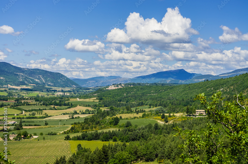 Rural landscape in Provence in France in summer.