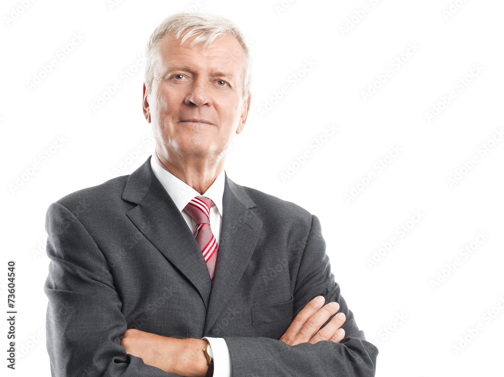 Senior businessman portrait Senior businessman portrait