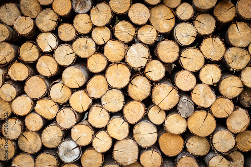 Stacked Logs Texture  Natural Background