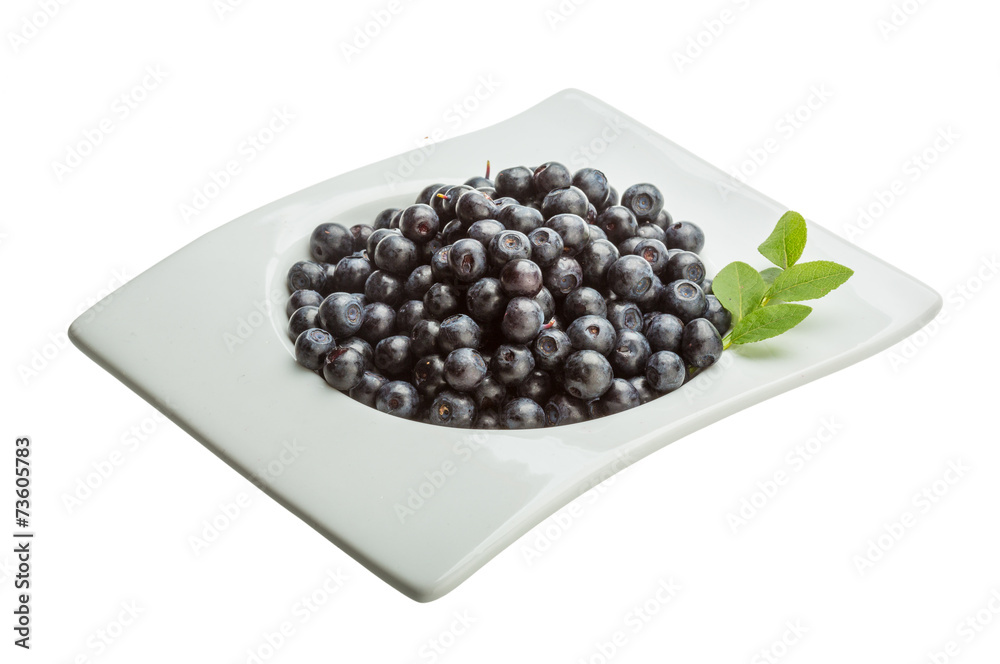 Blueberry Blueberry