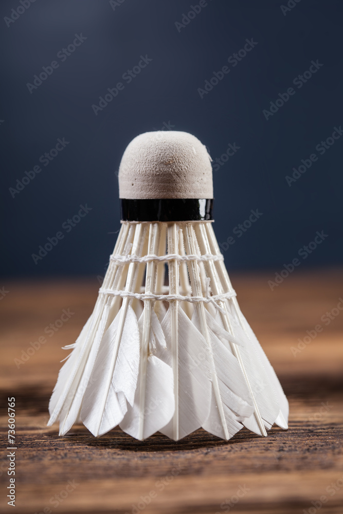 A set of badminton. Paddle and the shuttlecock.