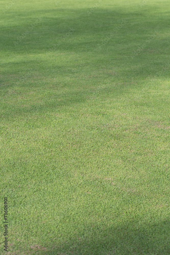 Naklejka zielona trawa boisko sportowe