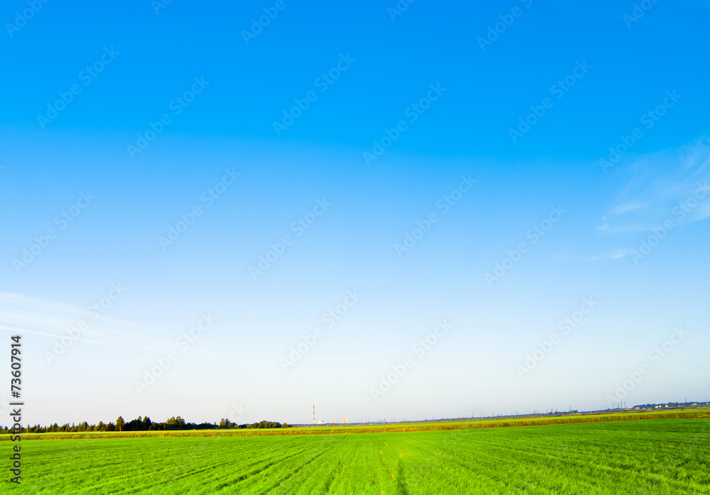 Grass Outdoor Field Grass Outdoor Field