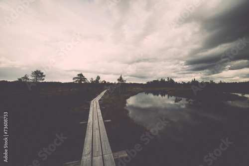 swamp view with lakes and footpath. Vintage.