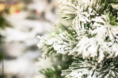 Snowy Christmas Tree © Georgii Shipin
