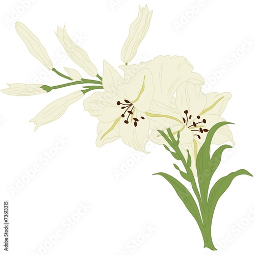 Floral greeting card