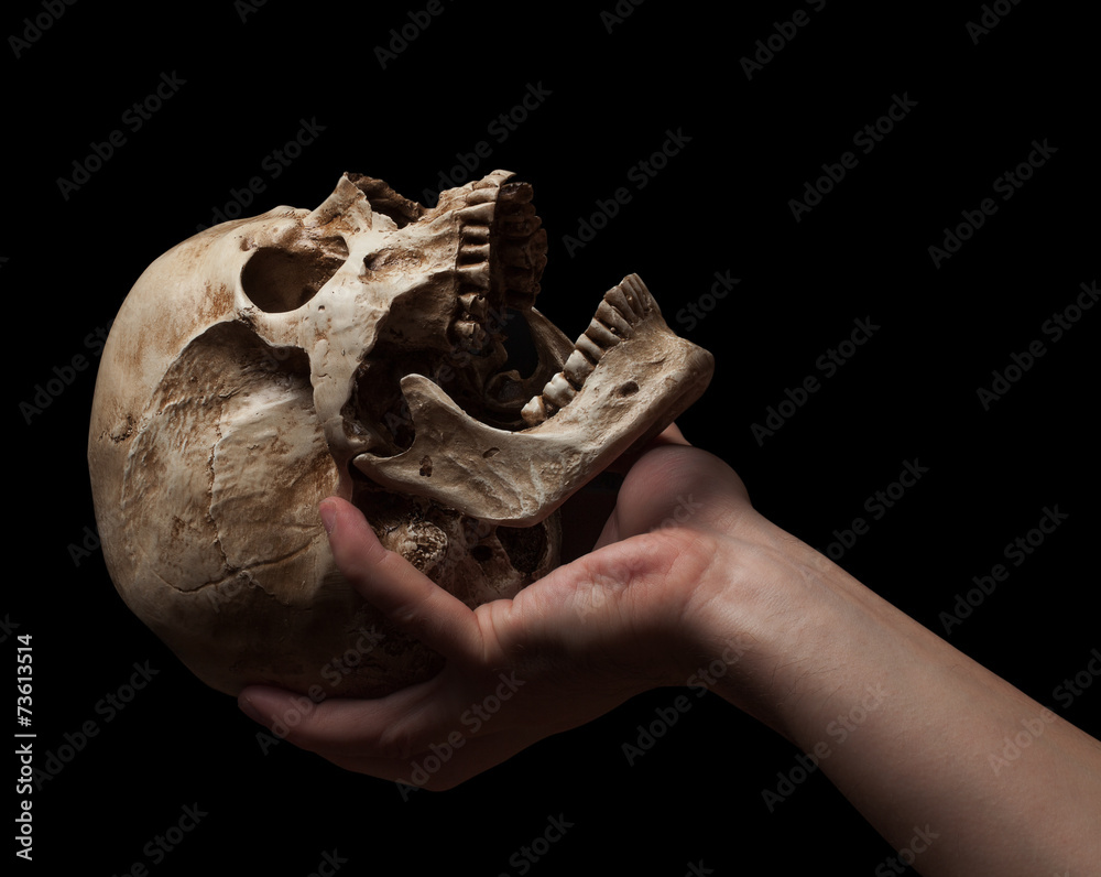 Obraz premium hand holding a skull