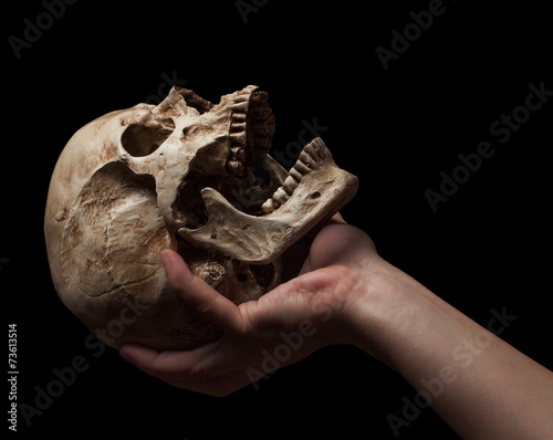 hand holding a skull