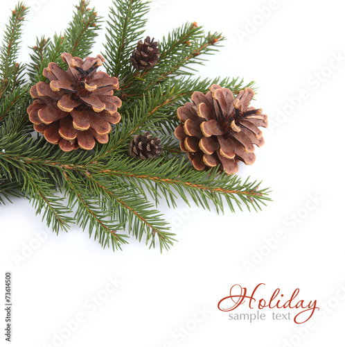 Christmas background with fir-tree and cones on a wooden dark background