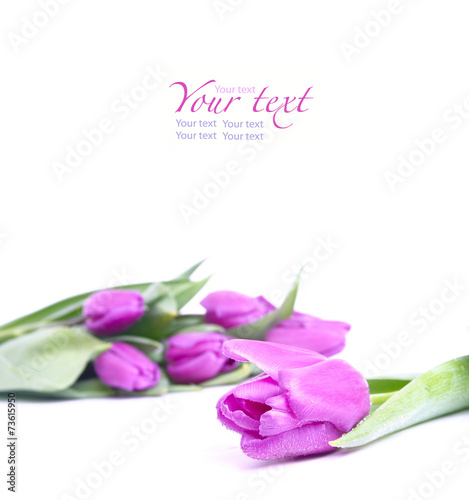 Fototapeta Naklejka Na Ścianę i Meble -  Букет из розовых тюльпанов на белом фоне