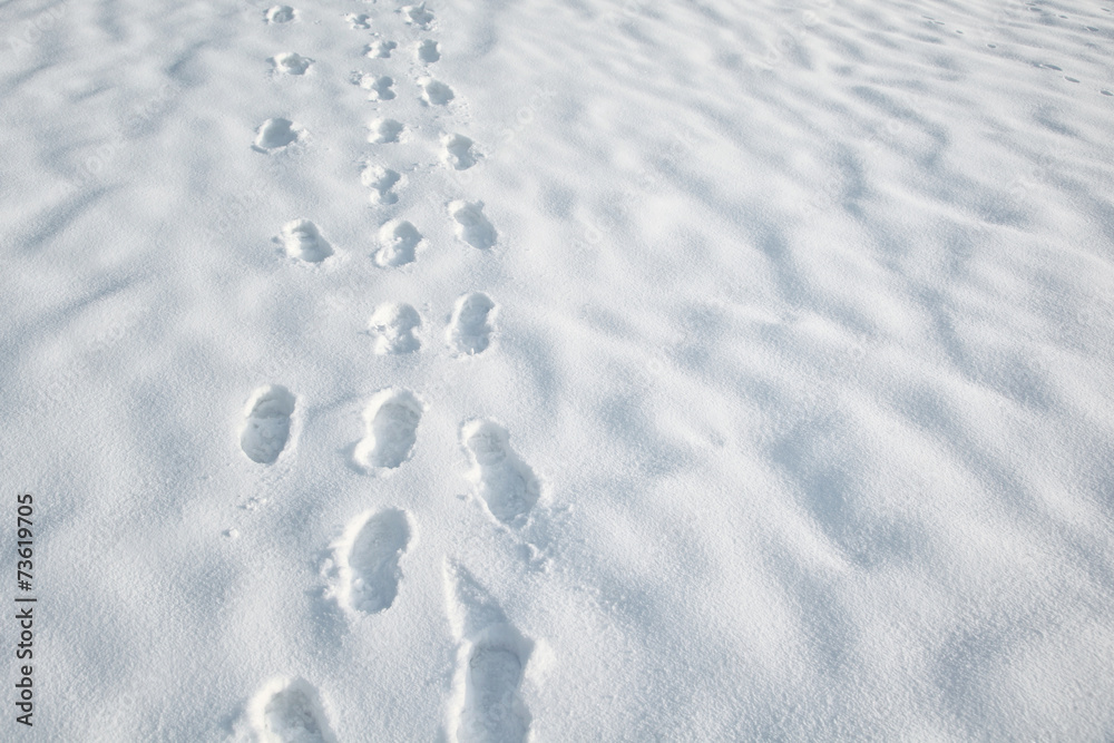 Obraz premium Shoeprints in the snow