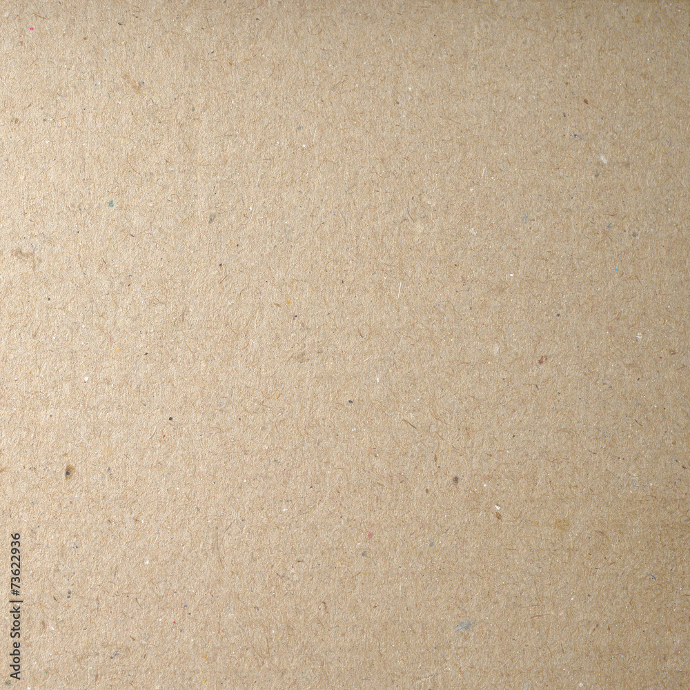 Cardboard Texture