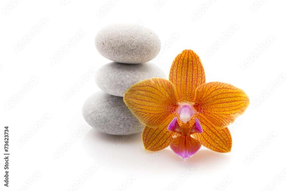 Spa stones. Spa stones.
