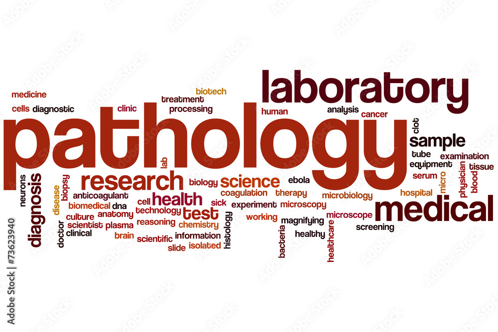 Pathology word cloud Pathology word cloud