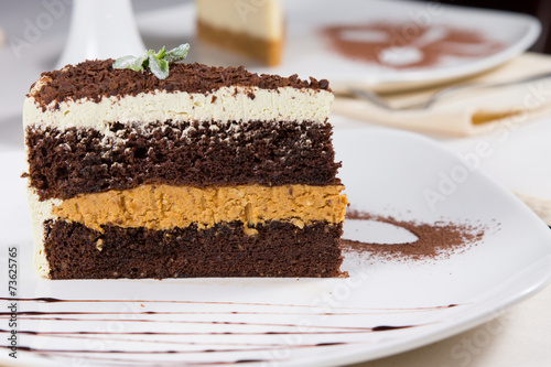 Freshly baked layered chocolate cream cake