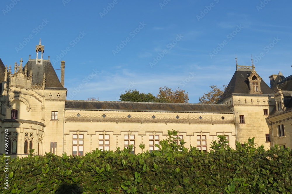 Maine-et-Loire - Château deBrézé et sa haie de verdure