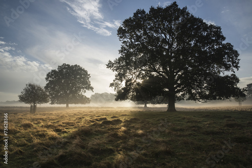 Beautiful Autumn dawn count...