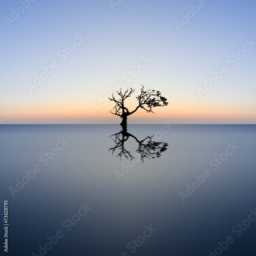 Conceptual image of single tree in still water with sunburst