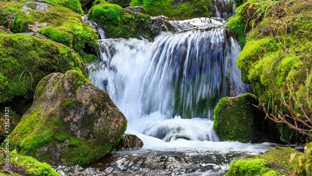 Small waterfall with clear spring water in wild nature Small waterfall with clear spring water in wild nature