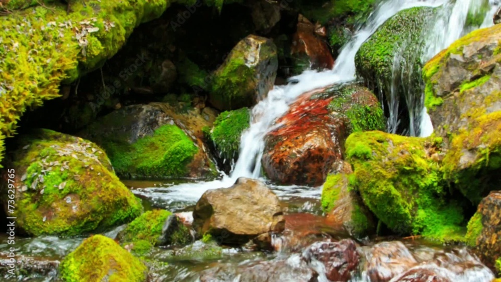 Small waterfall with clear spring water in wild nature Small waterfall with clear spring water in wild nature