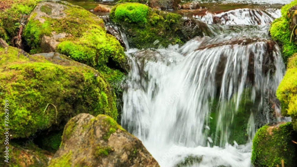 Small waterfall with clear spring water in wild nature Small waterfall with clear spring water in wild nature