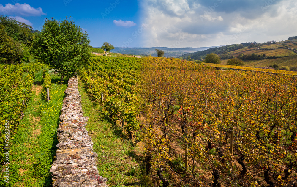 Obraz premium changement de saison