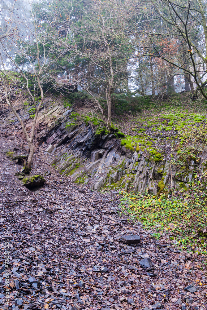 Geröllhalde unter einer Bruchkante im Steinbruch am Bromberg Geröllhalde unter einer Bruchkante im Steinbruch am Bromberg