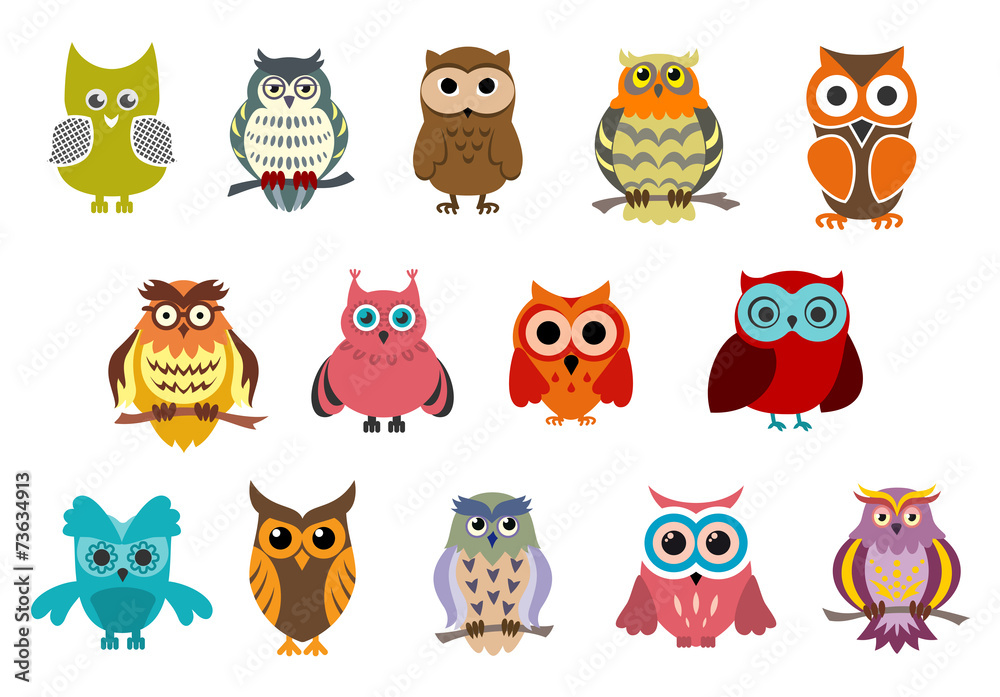 Naklejka premium Cartoon cute owl birds