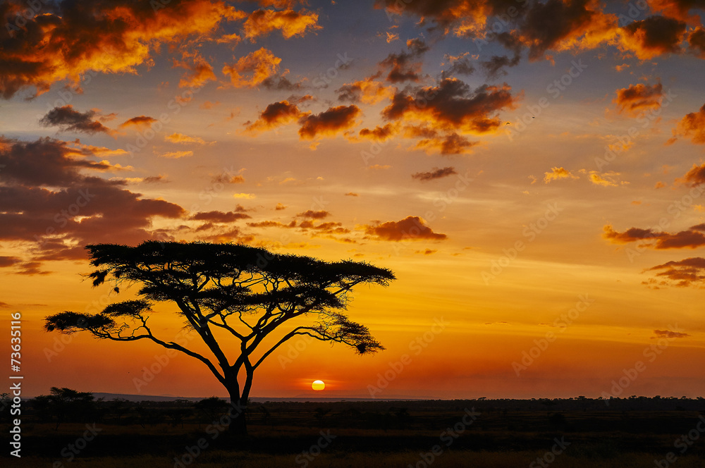 Naklejka premium Afrykański zachód słońca