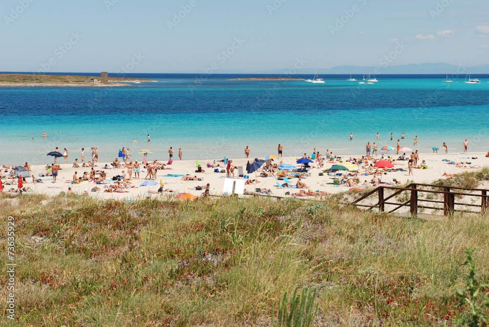 Sardegna, spiagge e natura in bicicletta Sardegna, spiagge e natura in bicicletta