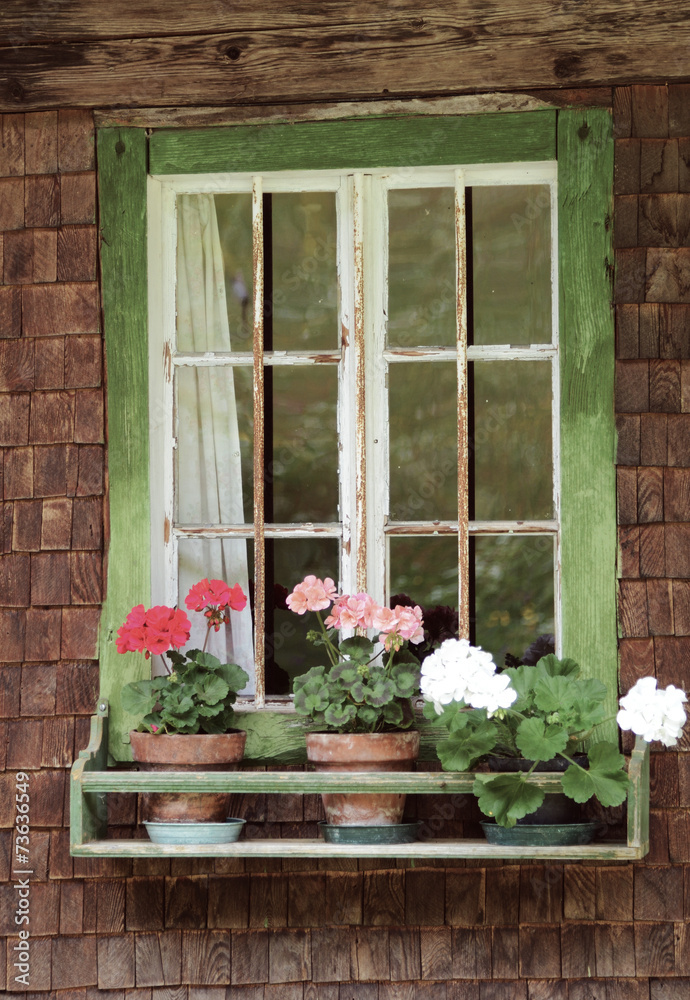 finestra con fiori