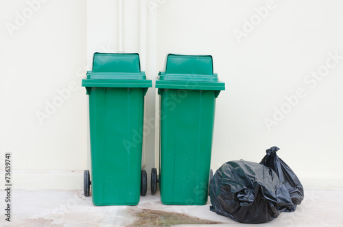 Green bin and Black garbage bags