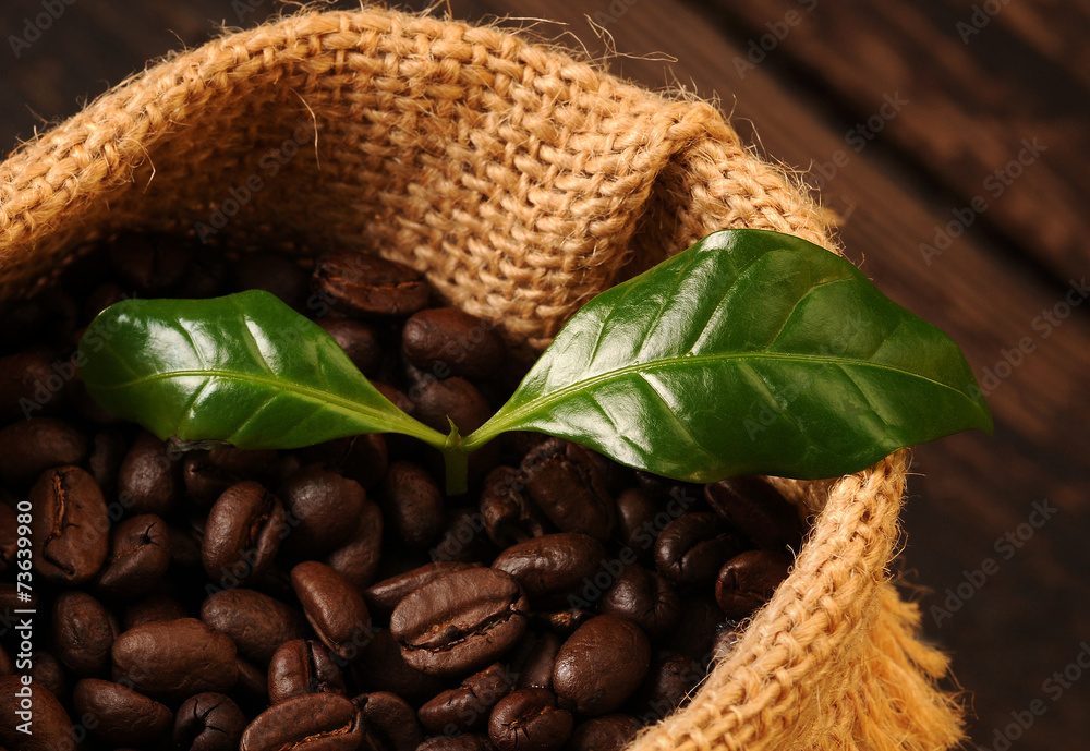 Fototapeta premium Kawa w worku z liściem kawowca