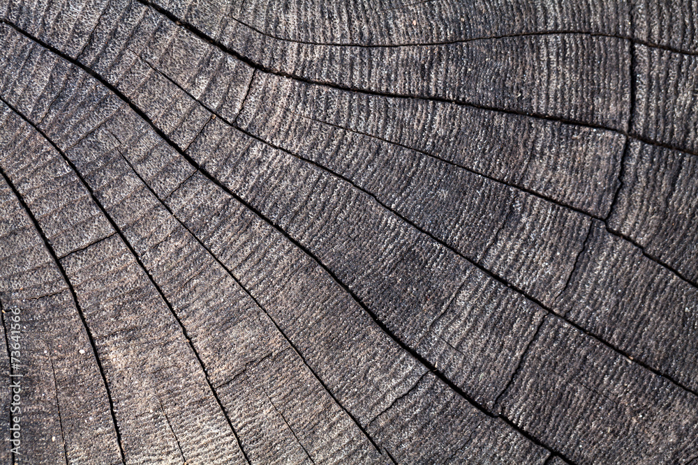 Fototapeta premium wooden background