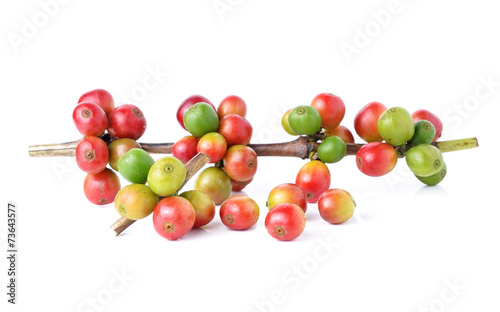Fresh coffee beans isolated on white background
