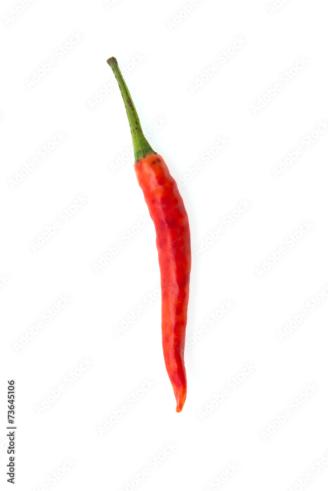 Chilli isolated on white Chilli isolated on white