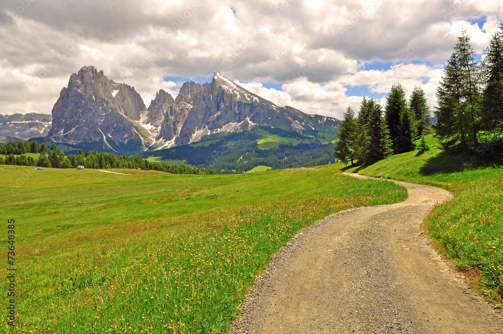 Winding road in Alps