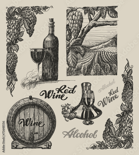 Hand drawn vector wine set