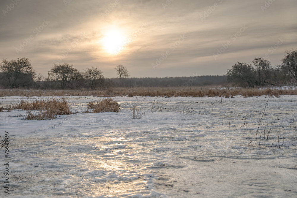 Frozen meadow sunrise ice reflection