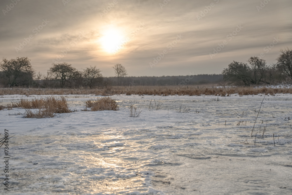 Frozen meadow sunrise ice reflection Frozen meadow sunrise ice reflection