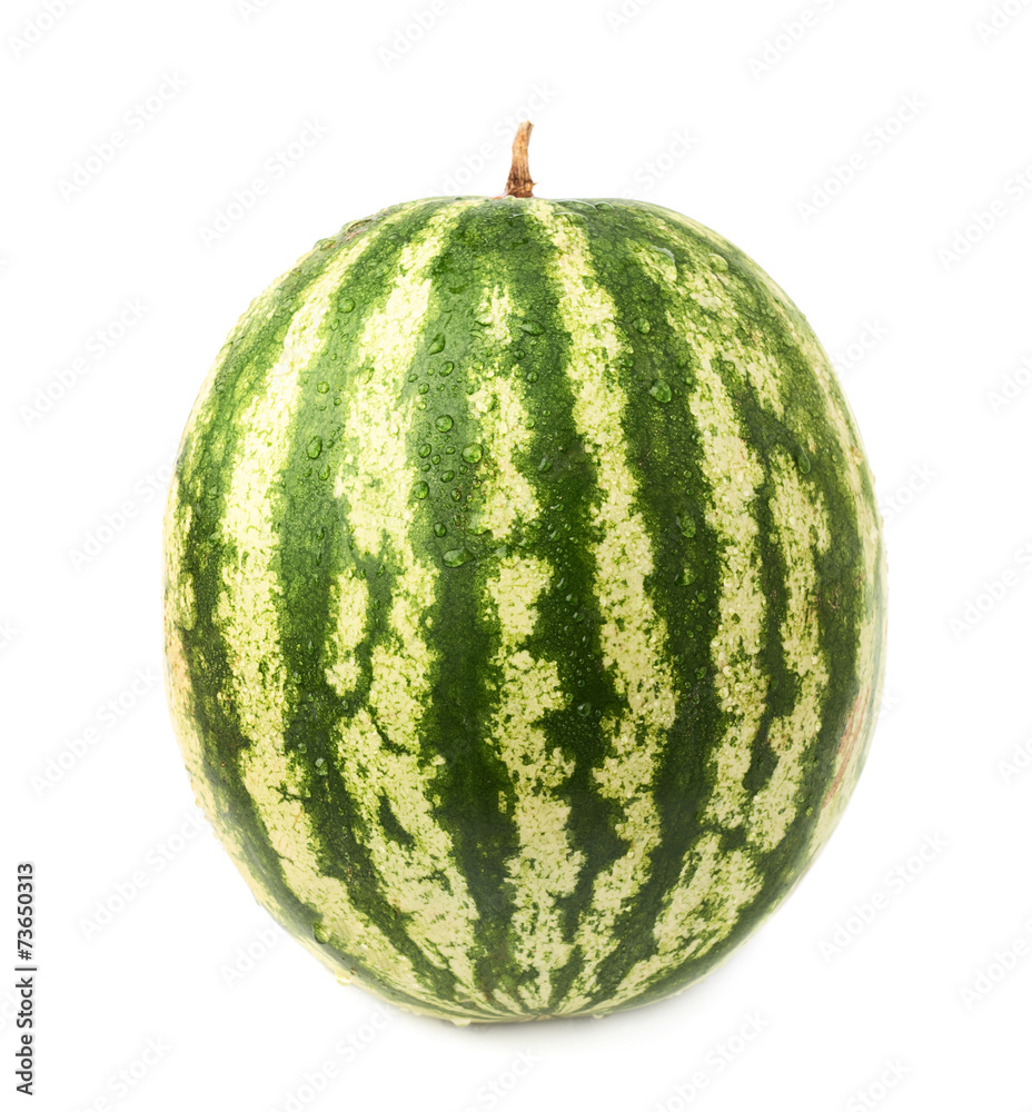 Ripe green watermelon fruit isolated Ripe green watermelon fruit isolated