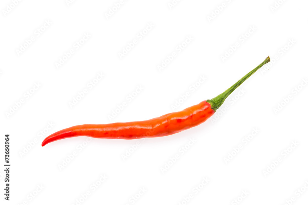 Chilli isolated on white Chilli isolated on white