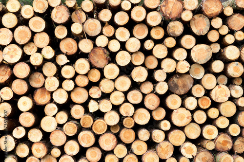 Stacked tree wood logs background