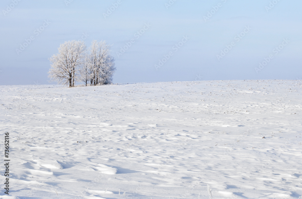 Walk through the beautiful winter scene in Russia Walk through the beautiful winter scene in Russia